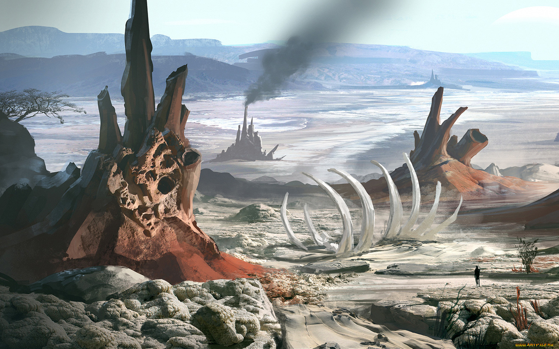 �������, ���� ����,  ���� �������, �������, ����������, �����, ������, ���